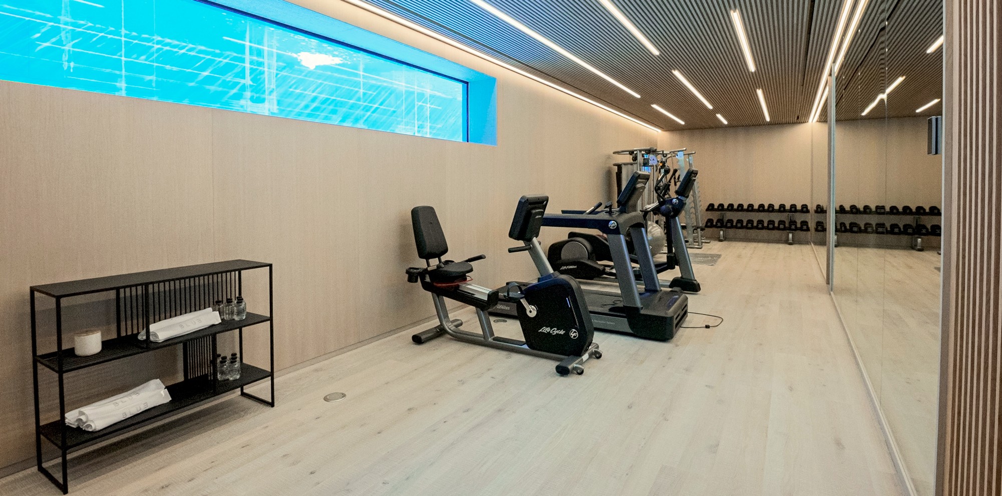 blue gym